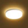 LEDs Ceiling Light Flush Mounting 48W Round Ceiling Lamp for