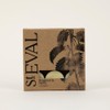 St Eval Bergamot & Nettle Scented Tealights | Zesty Citrus