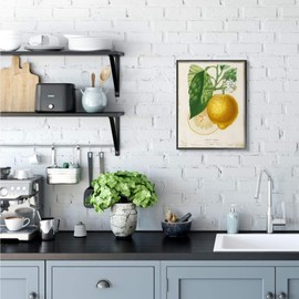 Stupell Industries Yellow Lemon Citrus Blossom with French Script Studio W Black Framed Wall Art, 16 x 20