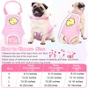 3 Pieces Dog Diaper Striped Sanitary Pantie with Adjustable Suspender