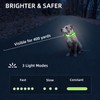 PetIsay Light up Dog Collar - High Visibility & Durable