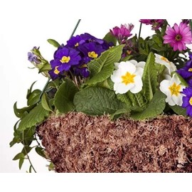 Mosser Lee Sphagnum Peat Long Fibered Moss ORCHID Mosser Lee   Indoor/Outdoor 432 cu in