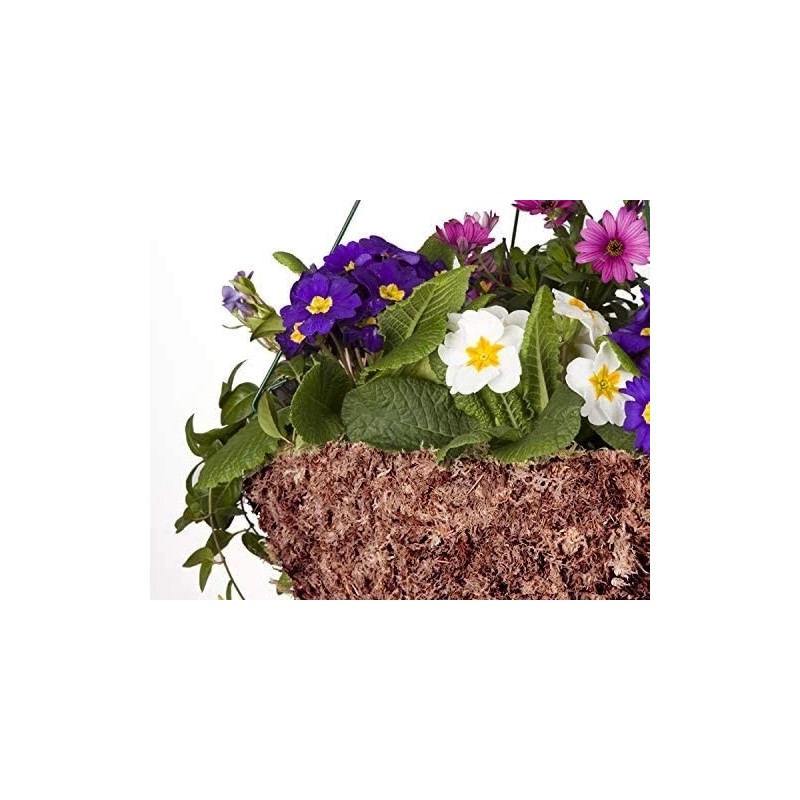Mosser Lee Sphagnum Peat Long Fibered Moss ORCHID Mosser Lee