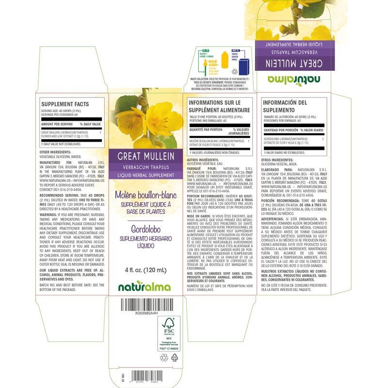 Naturalma Great Mullein or Common Mullein (Verbascum thapsus) Flower and