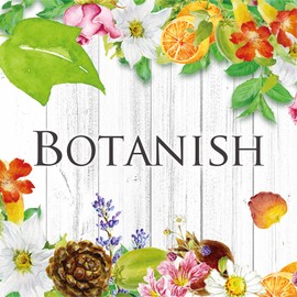 Carall Botanish Air 2P Sheer Sabbon, Deodorizing and Air Freshener, 0.08 oz (2.4 g) x 2 Packs