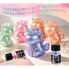 Chameleon Mica Powder 5 x 3g, Color Shift Mica Set，for