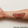 'Peacock Butterfly' Temporary Tattoo - Water Resistant, Skin-Safe, Non-Toxic Transfer
