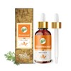 Crysalis Crysalis Wormwood (Artemisia Absinthium L) Oil - 1.69 Fl