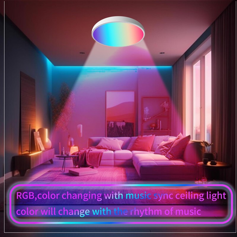 DoHome Smart LED Ceiling Light Work with Apple Homekit Alexa