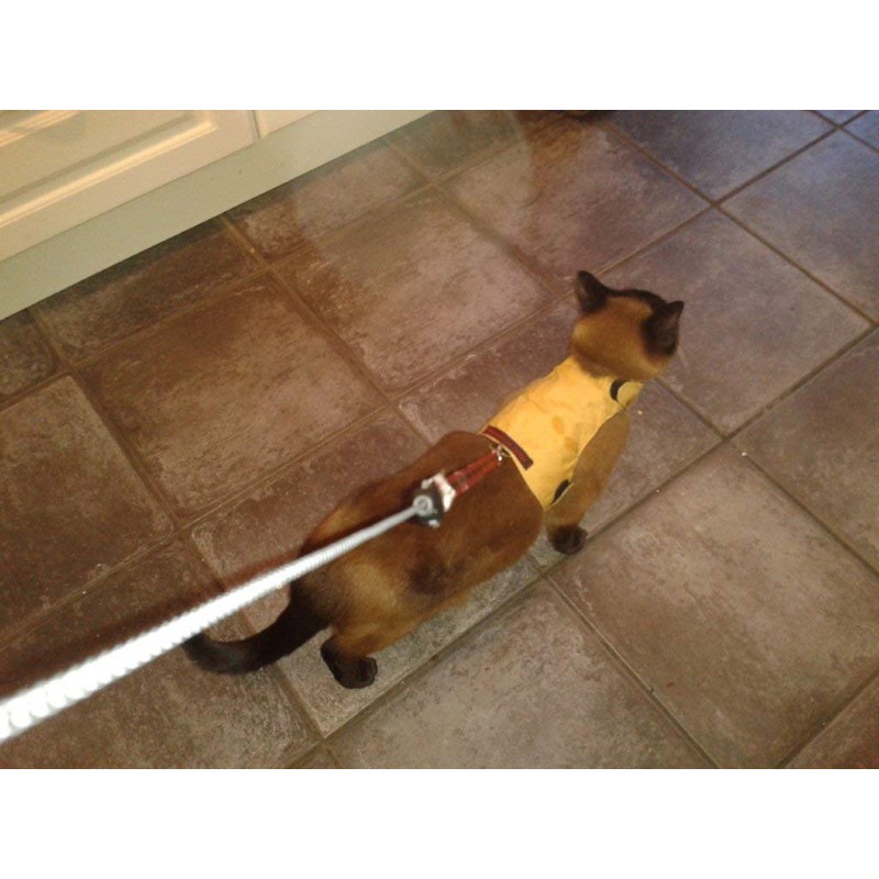 Mynwood Cat Jacket/Harness Caramel Kitten up to 8 month