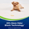 Bissell Woolite Advantage Heavy Traffic Carpet Foam 4 Pack, 3320