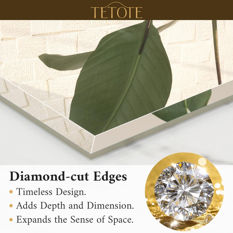 TETOTE 30" x 36" Rectangle Mirror with Frameless Tempered Beveled