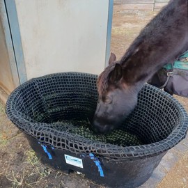 YardJoyliz Stock Tank Hay Net for 100 Gallon-150 Gallon Stock Tank Heavy Duty 1-4/7" Holes Slow Feed Hay Net, Black