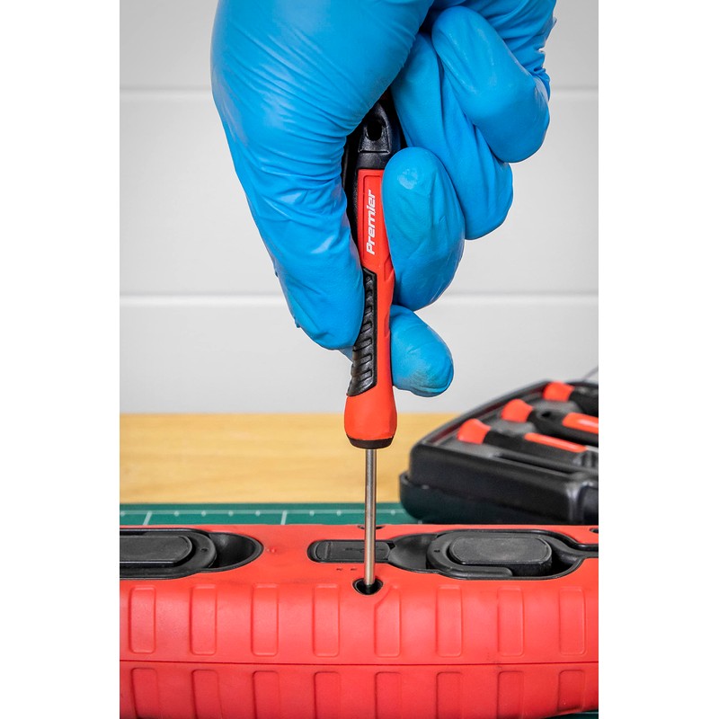 Sealey Premier Precision Screwdriver Set, 6pc, Slotted and Phillips -