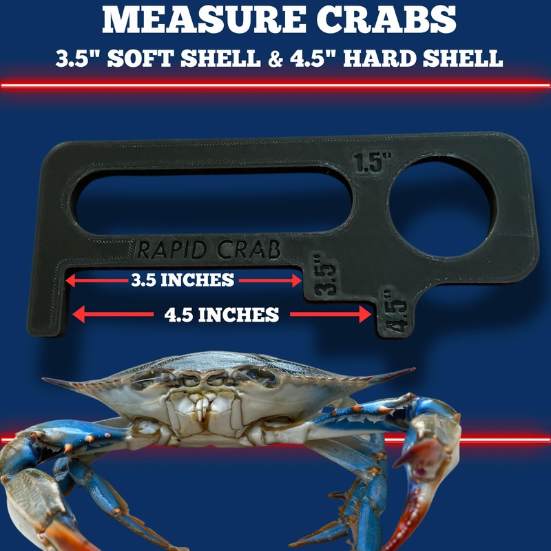 Crab Measurement Tool for Blue Crabs & Clams | NJ