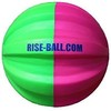 2 pk Combo Begin & Adv Ball Fast-Pitch Softball Pitching