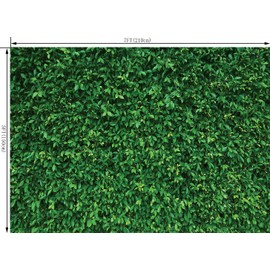 OUYIDA 7X5FT Green Leaves Nature Birthday Party CP Pictorial Cloth Photography Background Computer-Printed Vinyl Backdrop PCK39