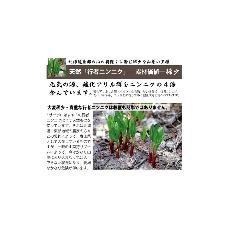 北海道行者ニンニク黒玉 450mg×62球