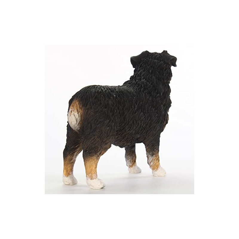Conversation Concepts Australian Shepherd
