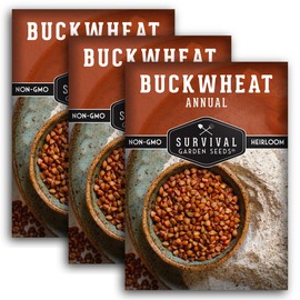 Survival Garden Seeds Buckwheat Seed for Planting - 3 Packets with Instructions to Plant & Grow a Cover Crop & Buckwheat Grain Plants in Your Home Vegetable Garden - Non-GMO Heirloom Variety