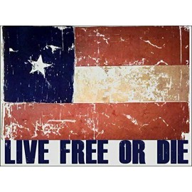 DISTRESSED TEXAS FLAG 5" LIVE FREE OR DIE AUTO CAR DECAL STICKER MADE IN USA