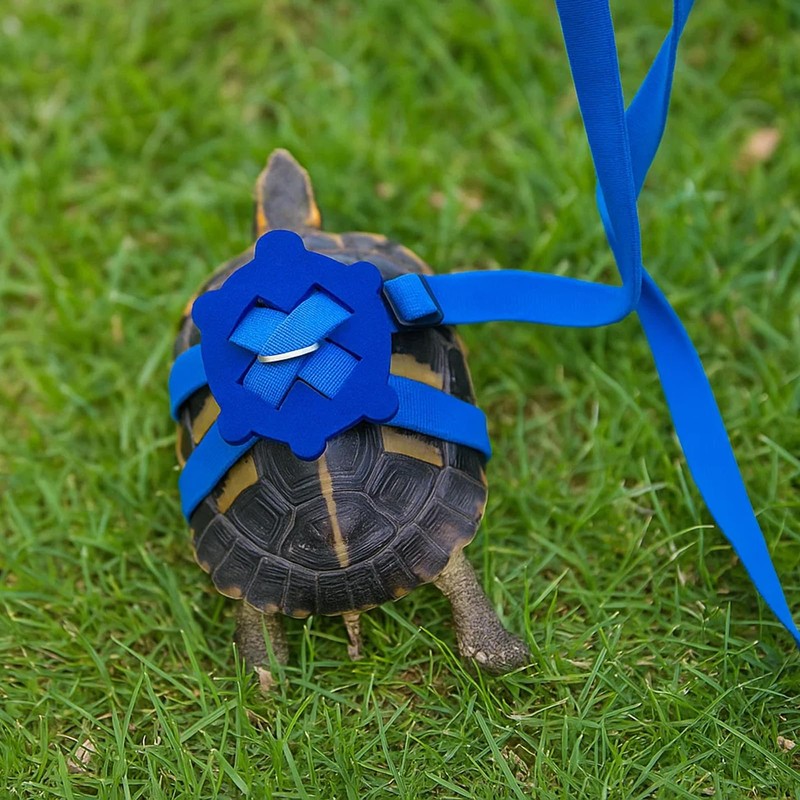 Tortoise Accessories, 2 Pack Tortoise Harness Set for Small Reptiles,