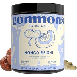 Hongos Adaptógenos - Hongo Reishi 120 Cápsulas - Suplemento de Alta Calidad - Apoyo del Sueño - Energizante y Antioxidante - Más de 5 Meses de Suministro -100% Orgánico