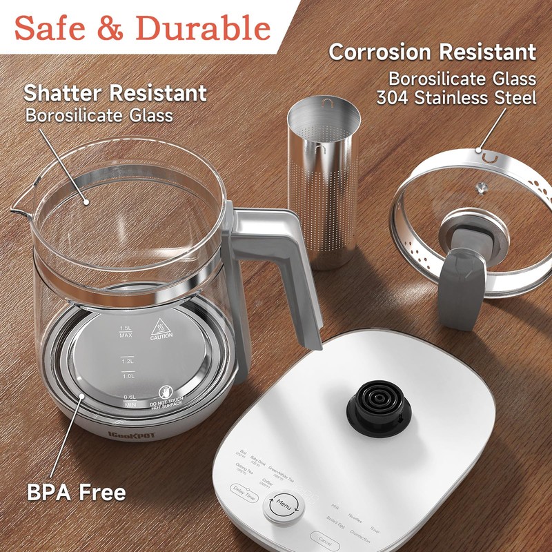 ICOOKPOT Hot Electric Kettle with Tea Infuser and Temperature Control,