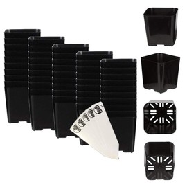 The Hydroponic City Black Square Flower Nursery Pots for Starting Seedlings, Succulents, or Cacti - 2" x 2", Pack of 50 + 5 THCity Stakes