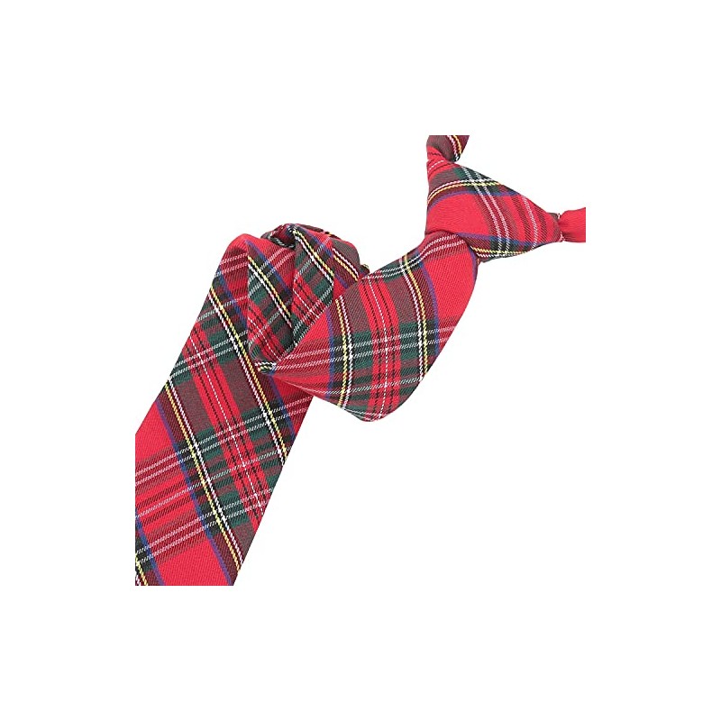 DQT Men's Tartan Plaid Formal Casual Patterned Classic Tie -