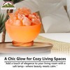 Himalayan Glow Pink Salt Bowl Night Lamp with Crystal Himalayan
