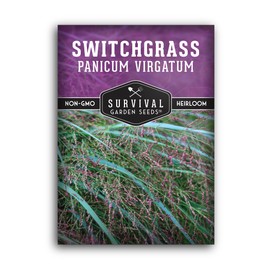 Survival Garden Seeds - Switchgrass Seeds for Planting | Panicum virgatum | North American Native Bunchgrass Plant | Prairie Restoration, Wildlife Cover - 1 Pack