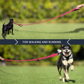 Dog Leash,Traffic Padded Two Handle,Heavy Duty,Reflective Double Handles Lead for Control Safety Training,Leashes for Large Dogs or Medium Dogs,Dual Handles Leads (Pink, 2.5 * 120CM)