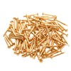 Pocoxll 100 Pcs Tiny Brass Nails, Decorative Wooden Nails for