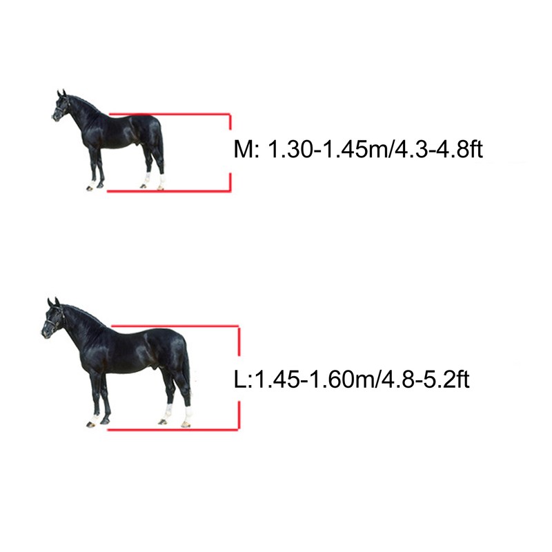 Horse Fetlock Boots Breathable Impact Absorbing Air Perforated Horse Hind