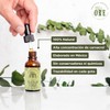 ORE Organic Oregano Oil Supplement, 100% Natural, 80% Carvacrol, Lippia