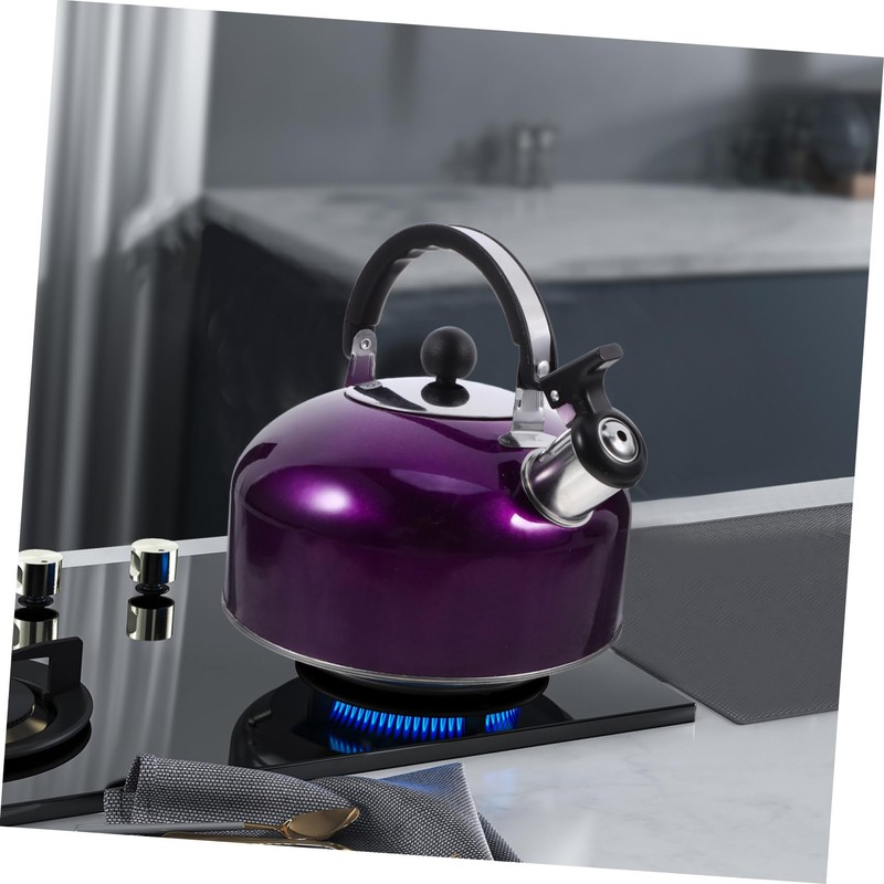 Gatuida Whistling Kettle Stainless Steel Spherical Boiling Pot for Kitchen
