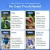 Created By Nature Texas Bluebonnet Seeds, 750+ Wildflower Seeds, Texas
