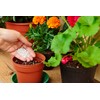R&R SHOP – Expanded Perlite, Neutral PH ideal for Gardening,