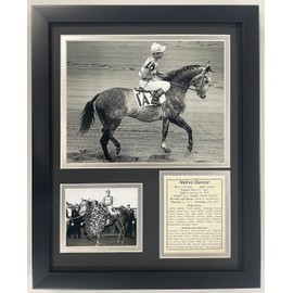 Championsip Racehorse Collectible Memorabilia | Triple Crown Racehorses | Framed Photo Collages | 12"x15" (Native Dancer)