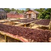 Ugandan Vanilla Beans Whole Grade A Vanilla Pods for Homemade