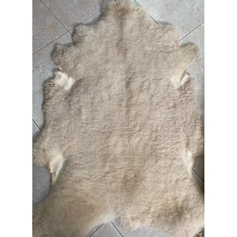 Zalea De Borrego, Piel De Borrego, Muy Pachona Y Limpia