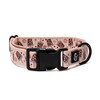 Lucy & Co. Dog Collar - Durable Lightweight Designer Collar
