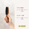 GB Kent Purse Size Hair Brush LR31