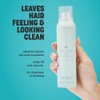 Drybar Detox Dry Shampoo Sangria Scent - Full Size |