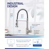 LUFEIDRA Stainless Steel Kitchen Faucet with Sprayer-High Arc Dual Function