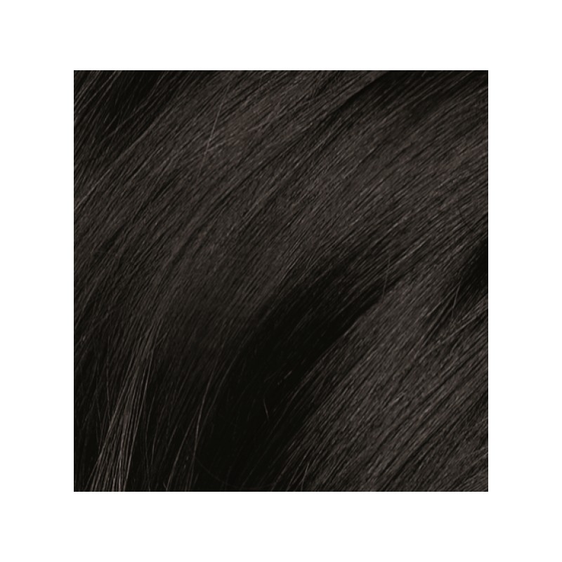 Naturtint Permanent Hair Colour 1N Ebony Black