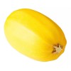 Womack Farm Spaghetti Squash, 25 Seeds. Heirloom~Non-G