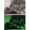 lumentics Premium Glow in the Dark Printer Paper for Laser