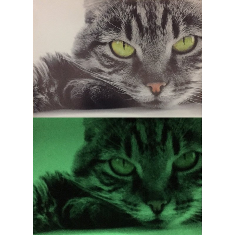 lumentics Premium Glow in the Dark Printer Paper for Laser